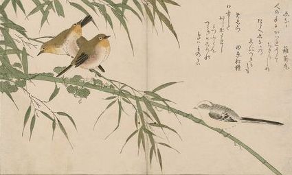 鳥と政治的禁止 – The Modern Tokyo Times