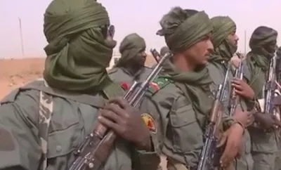 Mali and JNIM Islamists: Sahel Crisis