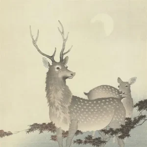 Japanese Art and Culture – Deer and Spirituality