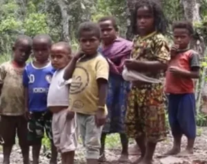 West Papua: The Geopolitical Silence Surrounding an Indigenous People (Indonesia)